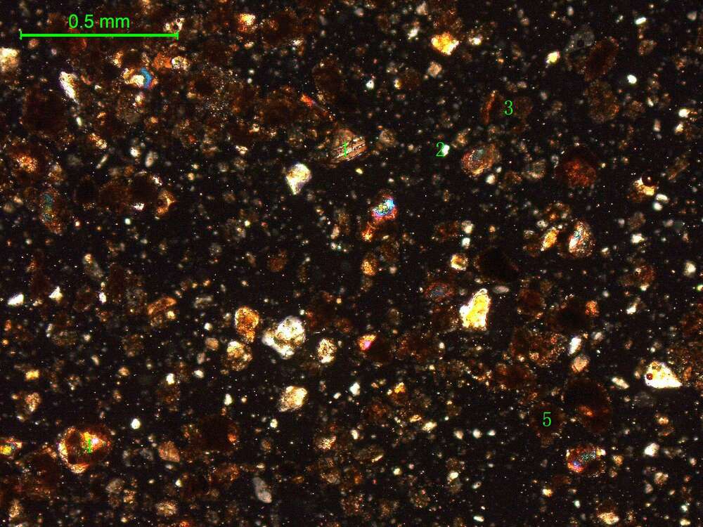 土壤（粉砂土）