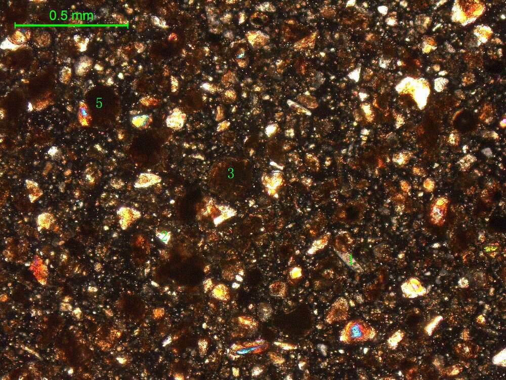 土壤（粉砂土）