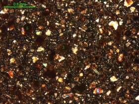 土壤（粉砂土）