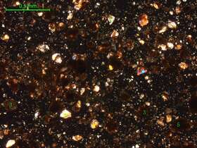 土壤（粉砂土）