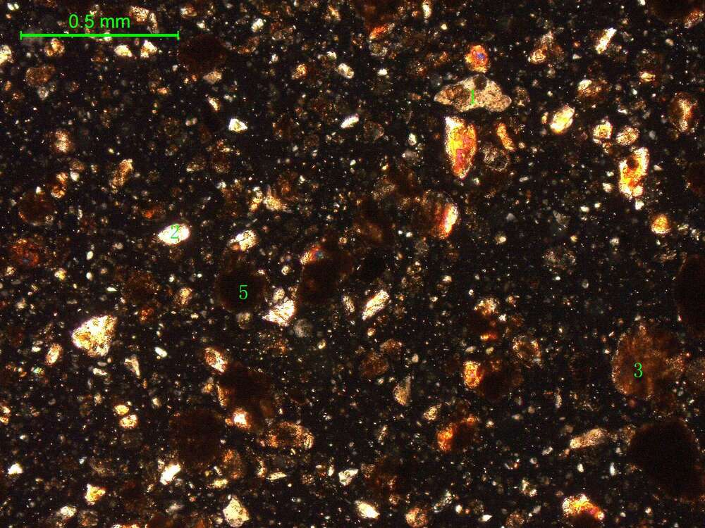 土壤（粉砂土）