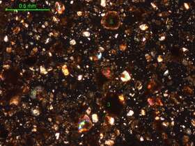 土壤（粉砂土）