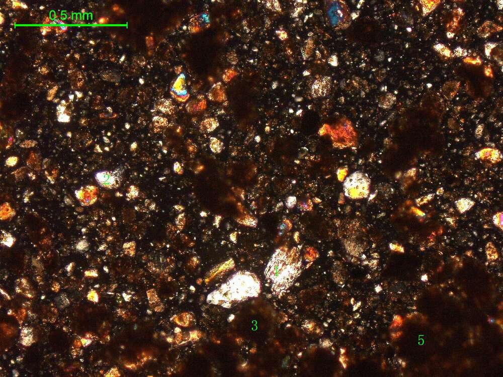 土壤（粉砂土）