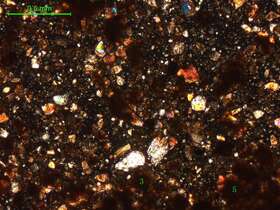 土壤（粉砂土）