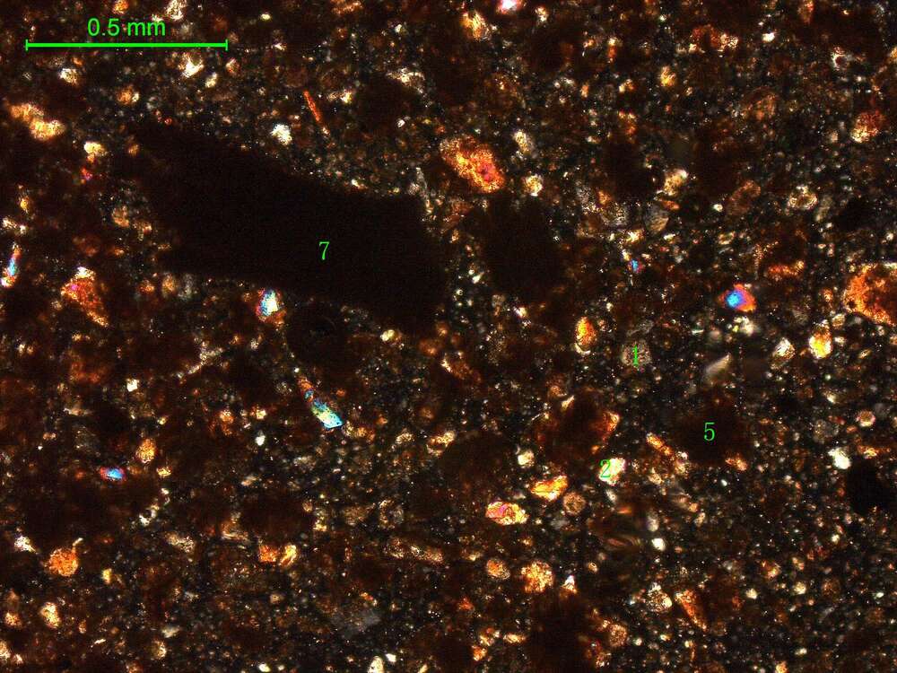 土壤（粉砂土）