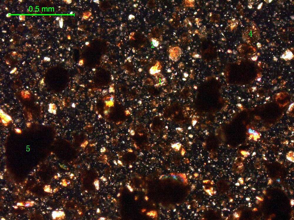 土壤（粉砂土）