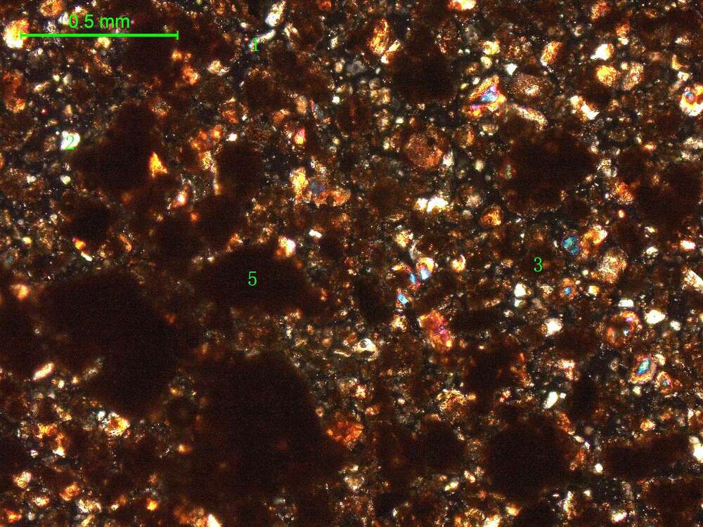 土壤（粉砂土）