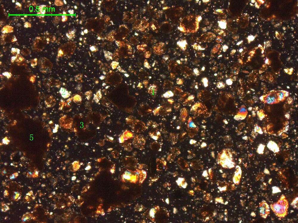 土壤（粉砂土）