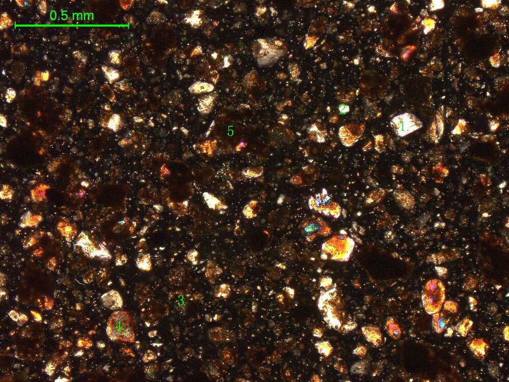 土壤（粉砂土）