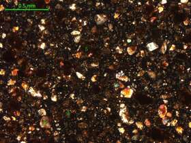 土壤（粉砂土）