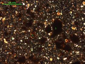 土壤（粉砂土）