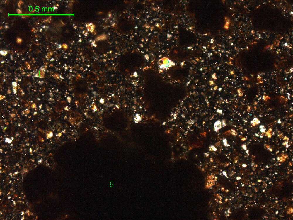 土壤（粉砂土）