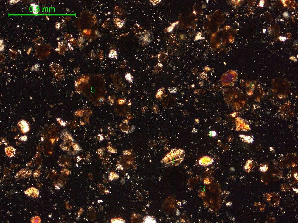 土壤（粉砂土）