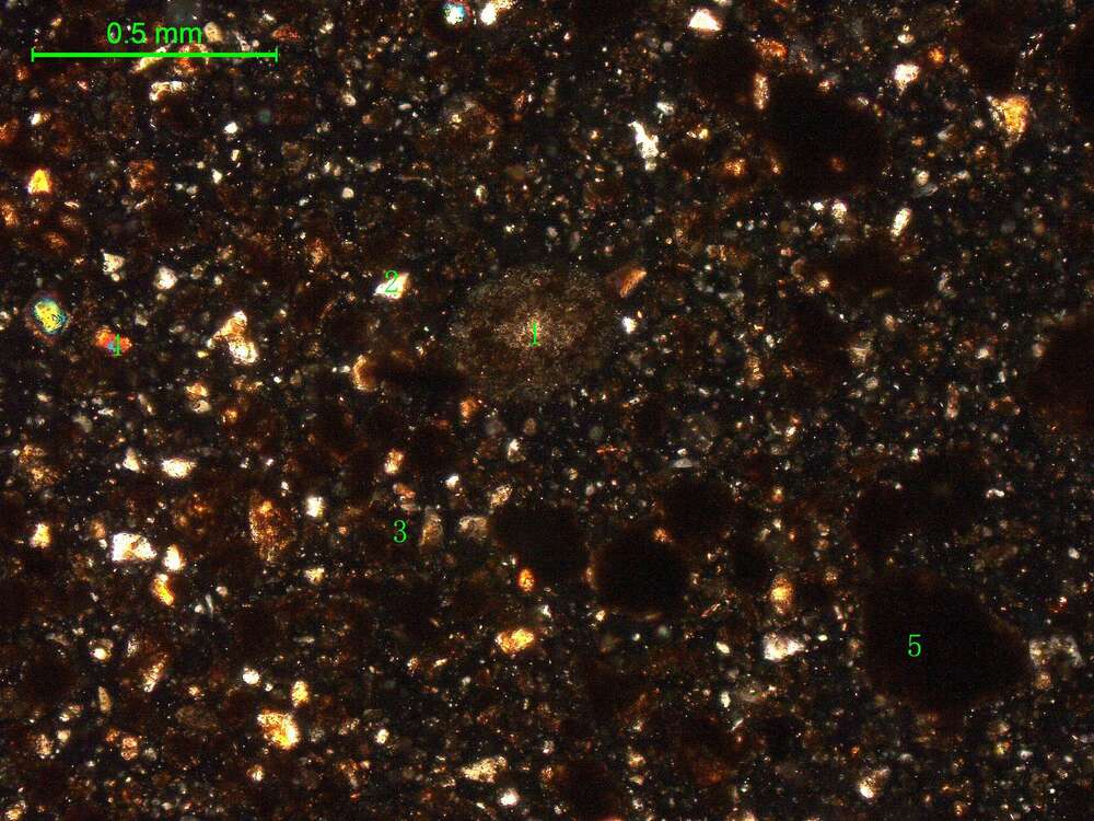 土壤（粉砂土）