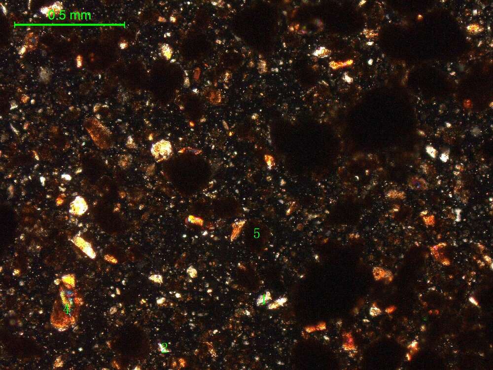 土壤（粉砂土）