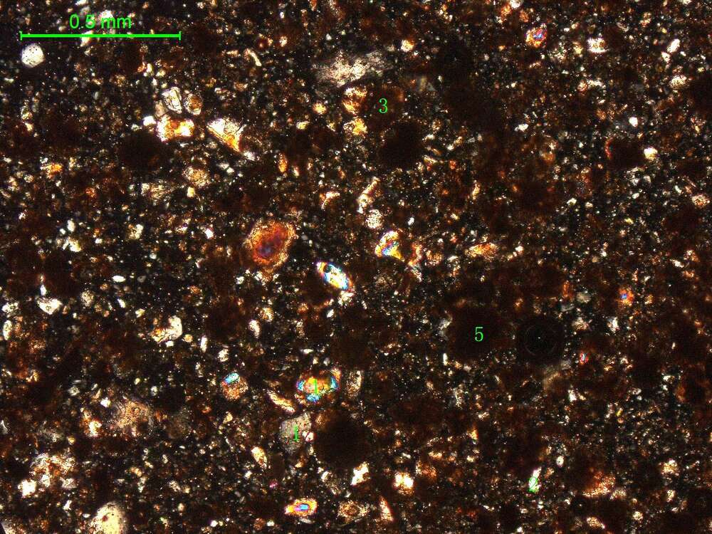 土壤（粉砂土）