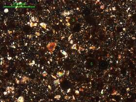 土壤（粉砂土）