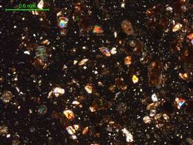 土壤（粉砂土）