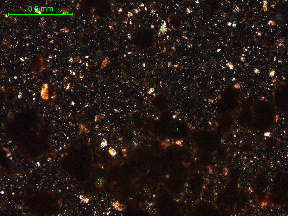 土壤（粉砂土）