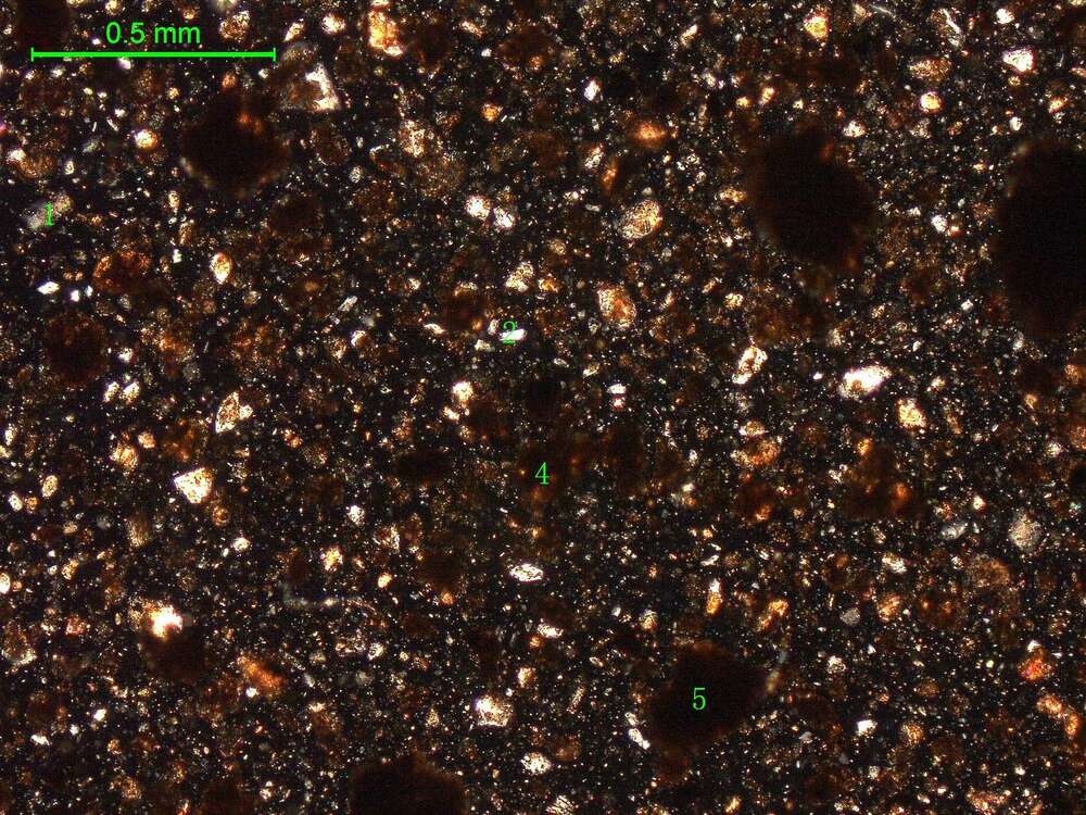 土壤（粉砂土）