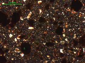 土壤（粉砂土）