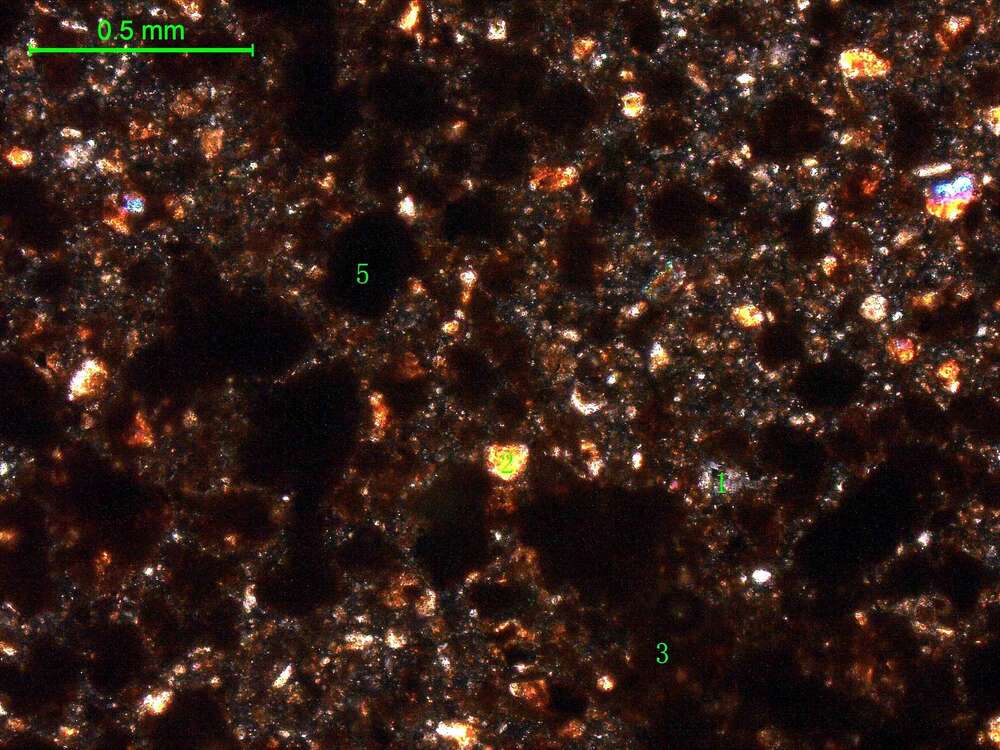 土壤（粉砂土）