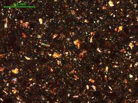 土壤（粉砂土）