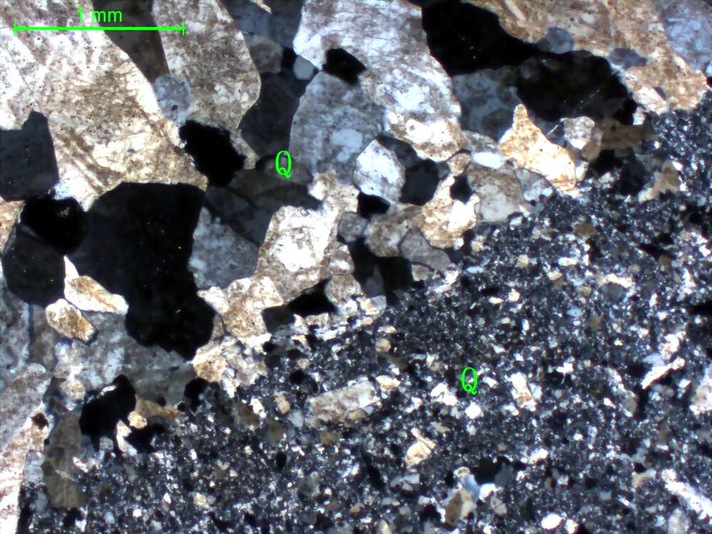 碎裂化硅化硅质岩
