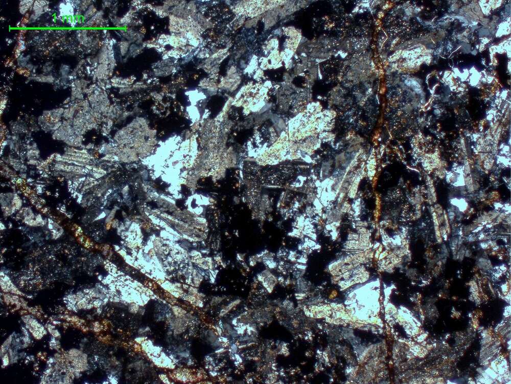 弱碳酸盐化石英二长岩