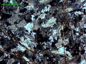 弱碳酸盐化石英二长岩