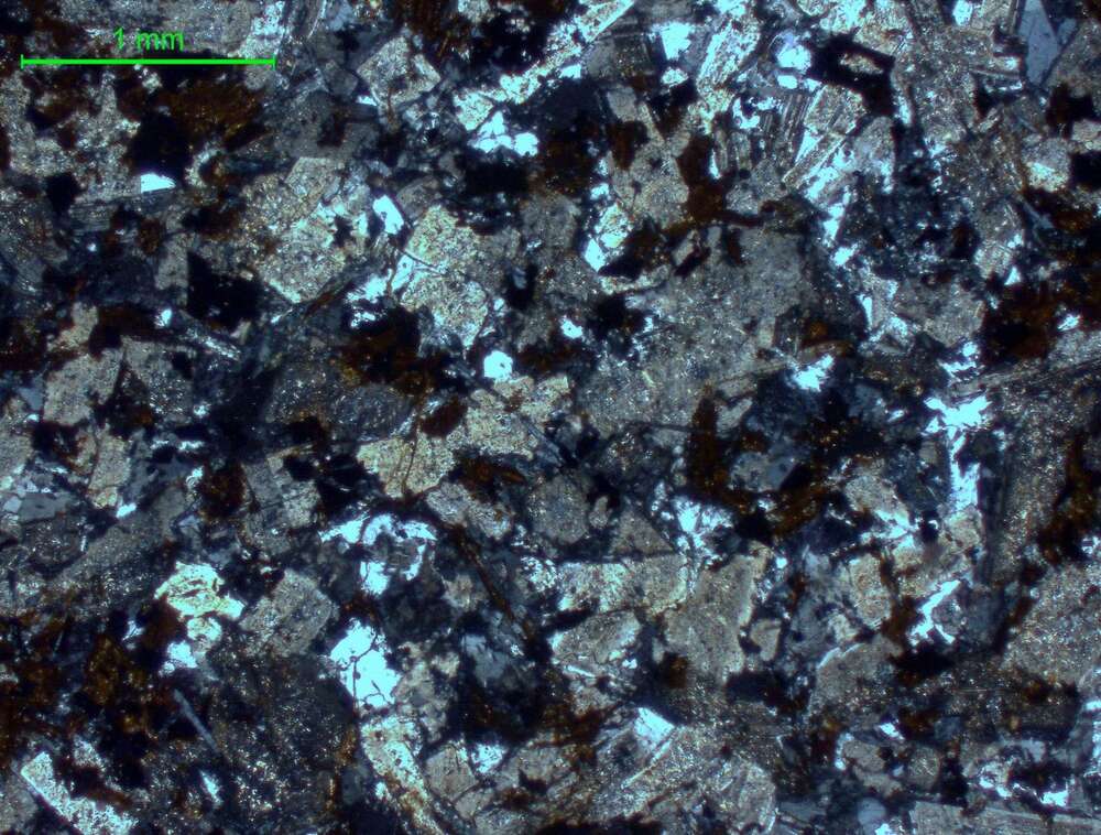 弱碳酸盐化、绿泥石化石英二长岩