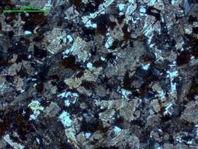 弱碳酸盐化、绿泥石化石英二长岩