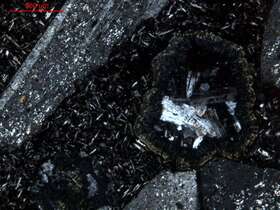 蚀变杏仁状玄武岩