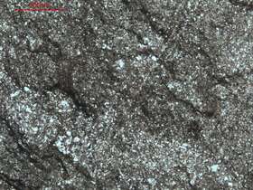 泥钙质细粉砂岩