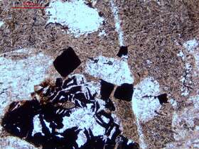 轻度蚀变玄武岩