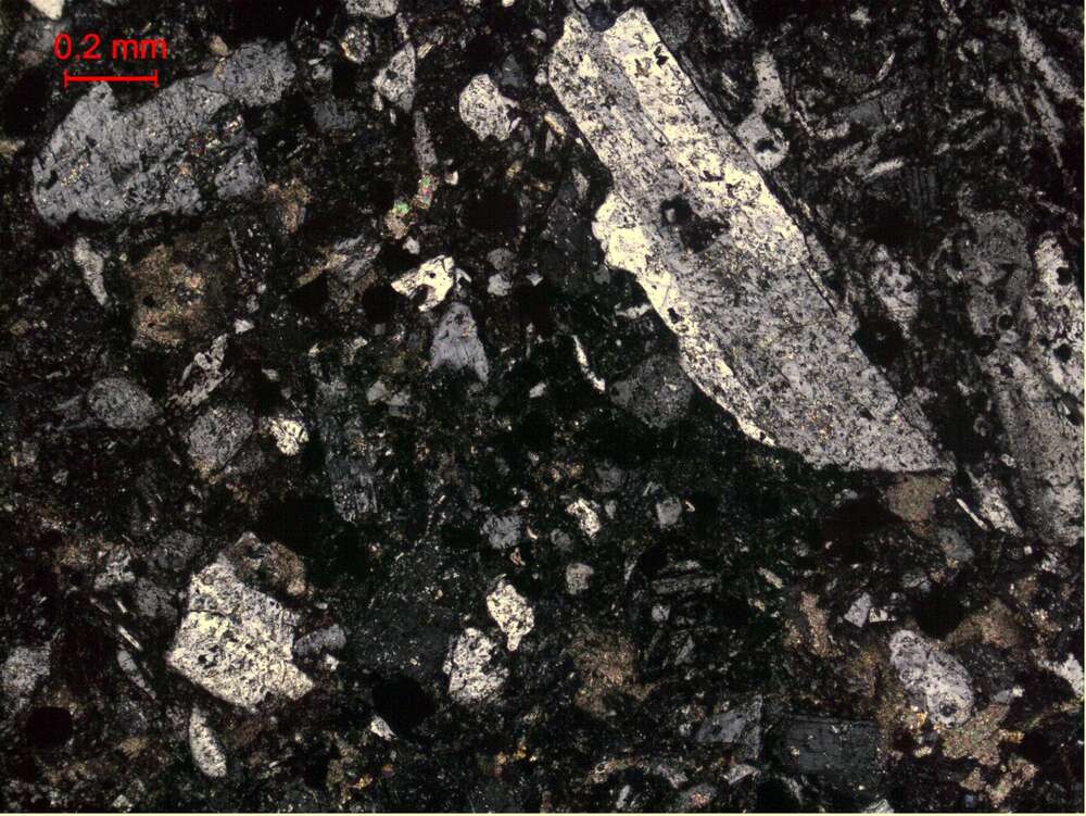 深灰色中细粒杏仁状岩屑晶屑凝灰岩