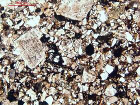 不等粒长石岩屑砂岩