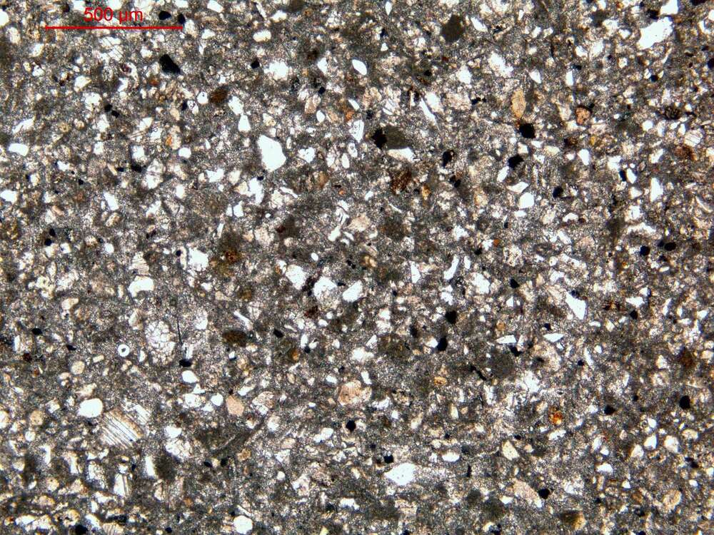 粉砂细砂质微晶砂屑灰岩