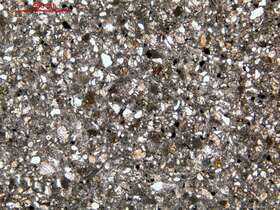 粉砂细砂质微晶砂屑灰岩