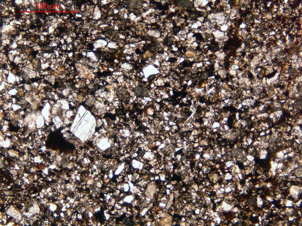 粉砂质岩屑细砂岩