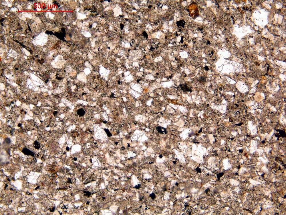 含粉砂岩屑细砂岩