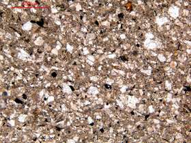 含粉砂岩屑细砂岩