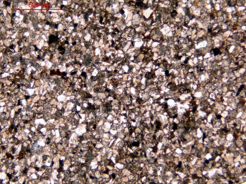 钙质细粒长石岩屑砂岩