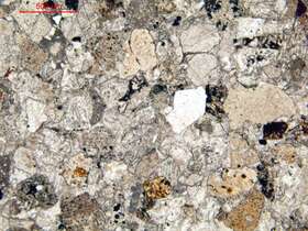 钙质岩屑粗砂岩