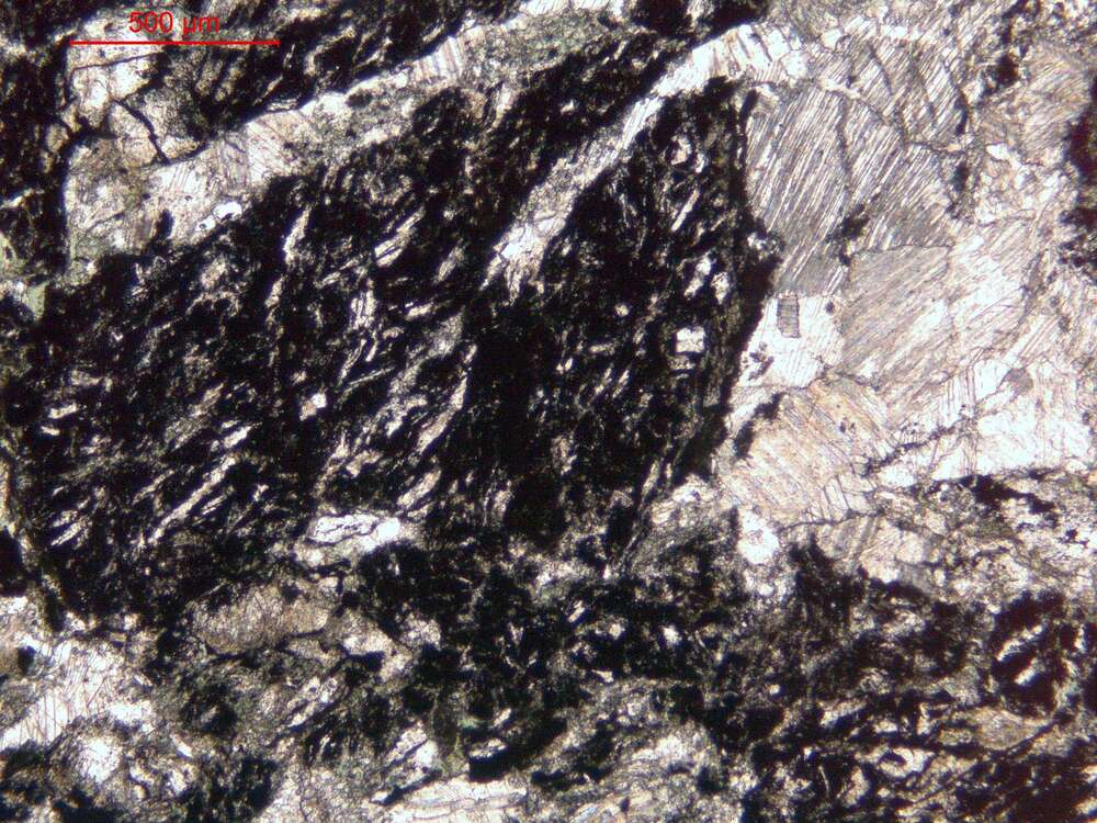 碳酸盐化碎裂化玄武岩