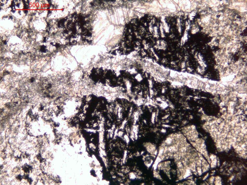 强碳酸盐化碎裂化玄武岩