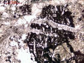 强碳酸盐化碎裂化玄武岩