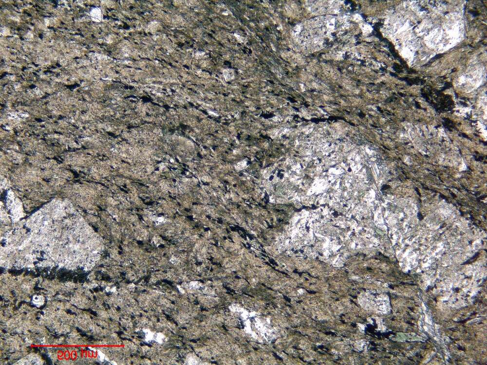 片理化蚀变安山岩