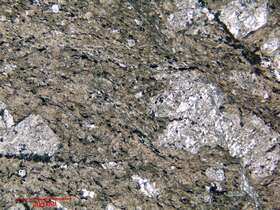 片理化蚀变安山岩