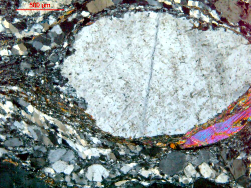 强片理化云母花岗闪长岩